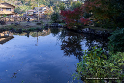 江川邸の内庭 | 高解像度画像サイズ：7122 x 4751 pixels | 写真番号：344A5082 | 撮影：Canon EOS R5