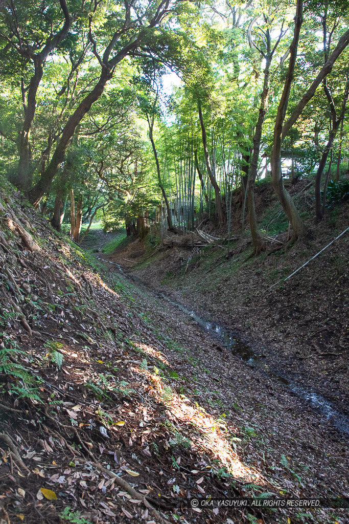 小田原城総構え・小峰大堀切