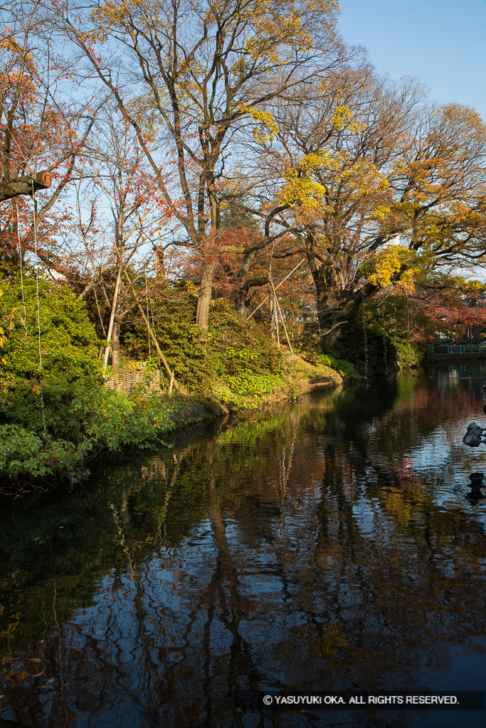 三の丸外囲の土居と堀