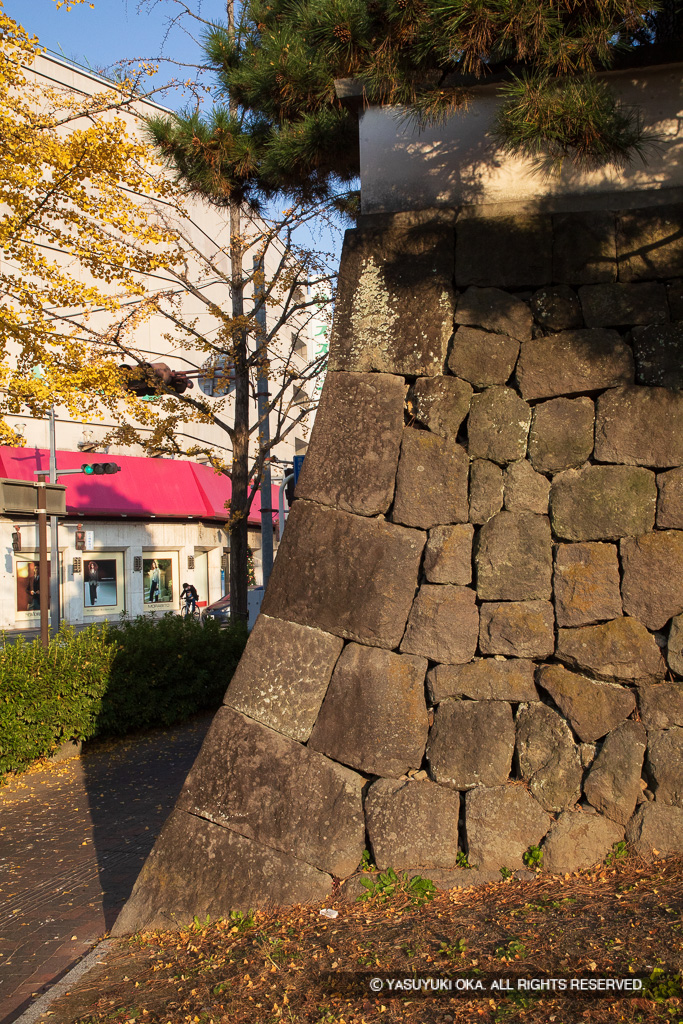 三の丸石垣（模擬）