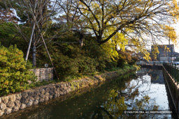 三の丸外囲の土居と堀 | 高解像度画像サイズ：6656 x 4437 pixels | 写真番号：5D4A0047 | 撮影：Canon EOS 5D Mark IV