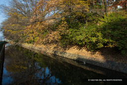 三の丸外囲の土居と堀 | 高解像度画像サイズ：6720 x 4480 pixels | 写真番号：5D4A0049 | 撮影：Canon EOS 5D Mark IV