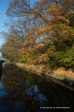 三の丸外囲の土居と堀 | 高解像度画像サイズ：4480 x 6720 pixels | 写真番号：5D4A0050 | 撮影：Canon EOS 5D Mark IV