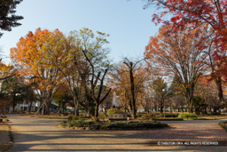 高崎公園 | 高解像度画像サイズ：6716 x 4477 pixels | 写真番号：5D4A0051 | 撮影：Canon EOS 5D Mark IV