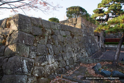 三の丸石垣（模擬） | 高解像度画像サイズ：6720 x 4480 pixels | 写真番号：5D4A0547 | 撮影：Canon EOS 5D Mark IV